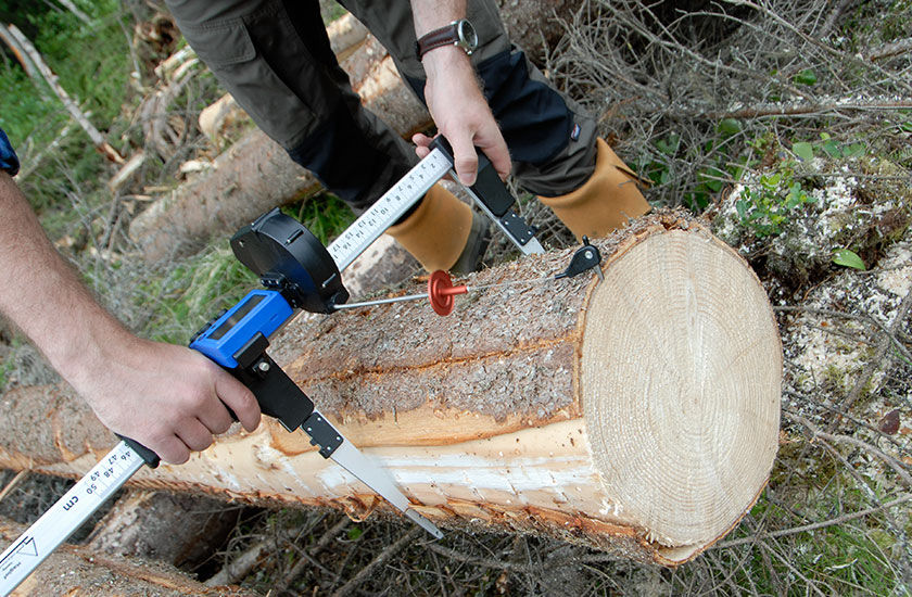 Photo of a lady measuring a tree using a Tree measuring Caliper serviced by Alternative Structures